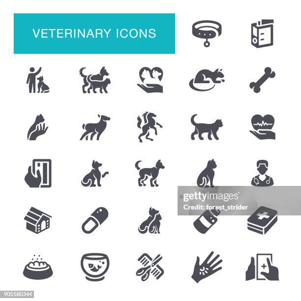 veterinary icons - pet equipment stock illustrations