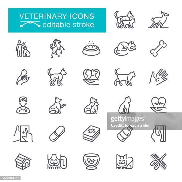 stockillustraties, clipart, cartoons en iconen met veterinaire bewerkbare beroerte pictogrammen - cat icon