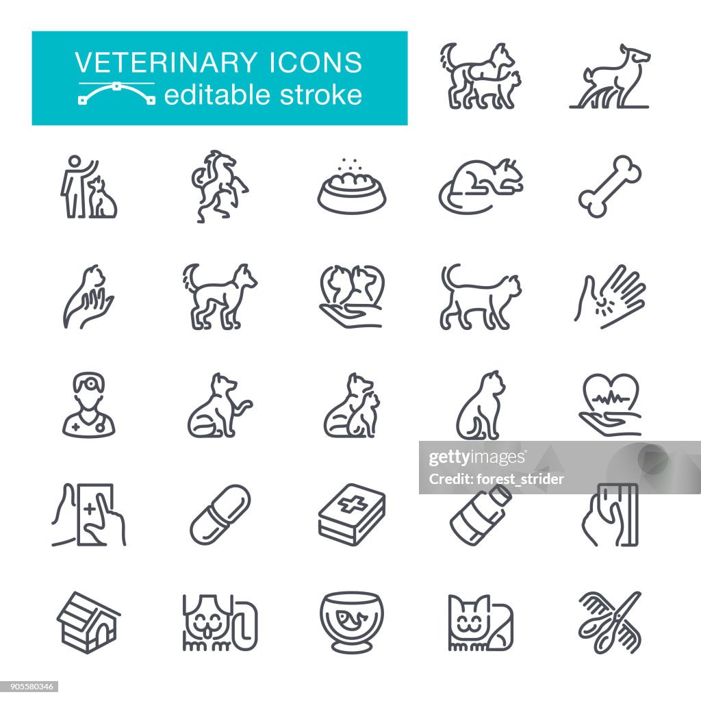 Ícones de veterinária curso editável