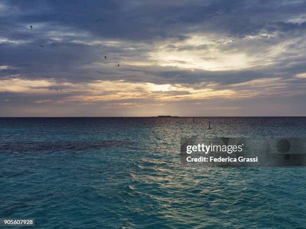 sunset on maldivian islands - bandos foto e immagini stock