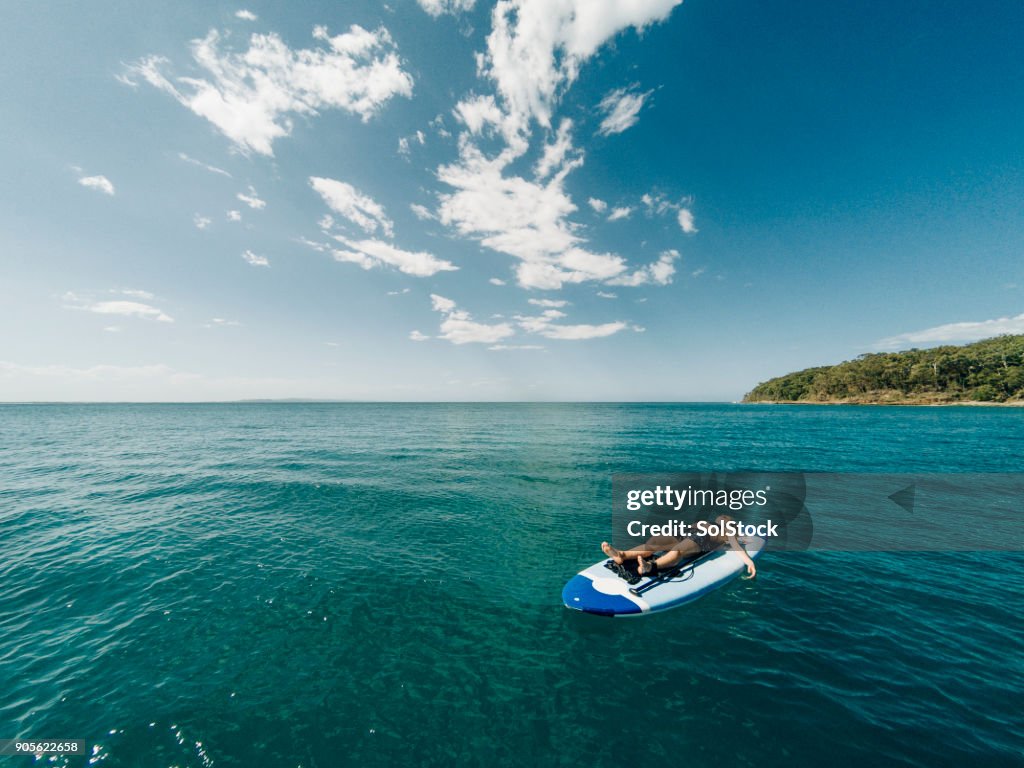 Relaxing in the Sea