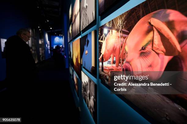 Pink Floyd's founding members Nick Mason and Roger Waters attended the opening of The Pink Floyd Exhibition: Their Mortal Remains at Rome's MACRO...