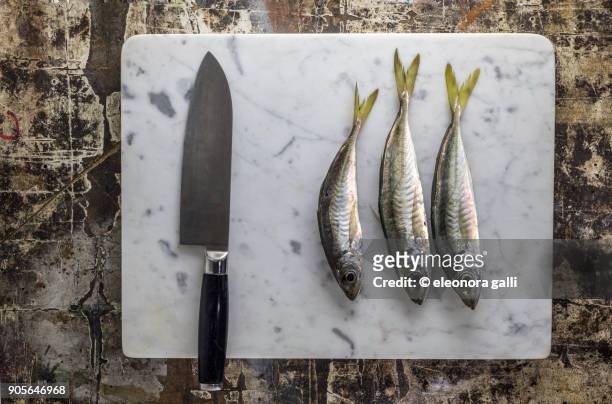pesce azzurro - trachurus stock pictures, royalty-free photos & images