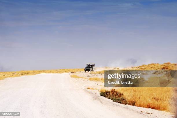 uit - is het wegvoertuig safari rijden in etosha national park namibië - etosha nationaal park stockfoto's en -beelden