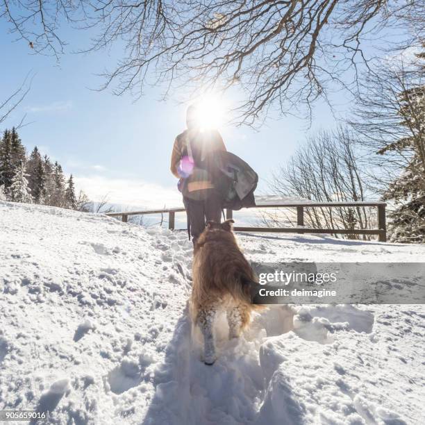 hiker with dog walks in snow-covered forest - snowfield stock pictures, royalty-free photos & images