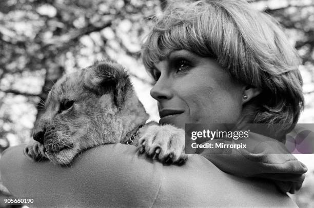 Stars of the new TV series 'The Avengers', Joanna Lumley with Sheba the lion cub, 12th October 1976.