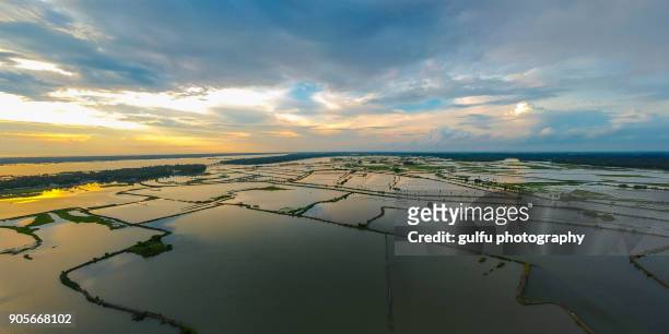 kadamakkudy water land aerial view kerala,india - cochin stockfoto's en -beelden