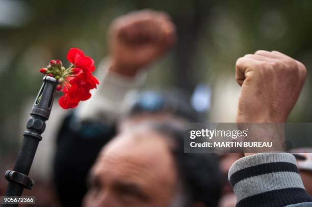 Flowering Rifle Flower In Rifle Photos and Premium High Res Pictures - Getty Images