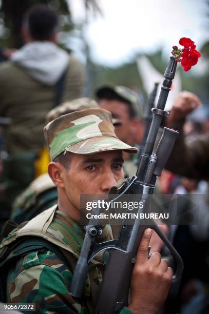 Flowering Rifle 718 Flower In Rifle Stock Photos, High-Res Pictures, and Images - Getty ...