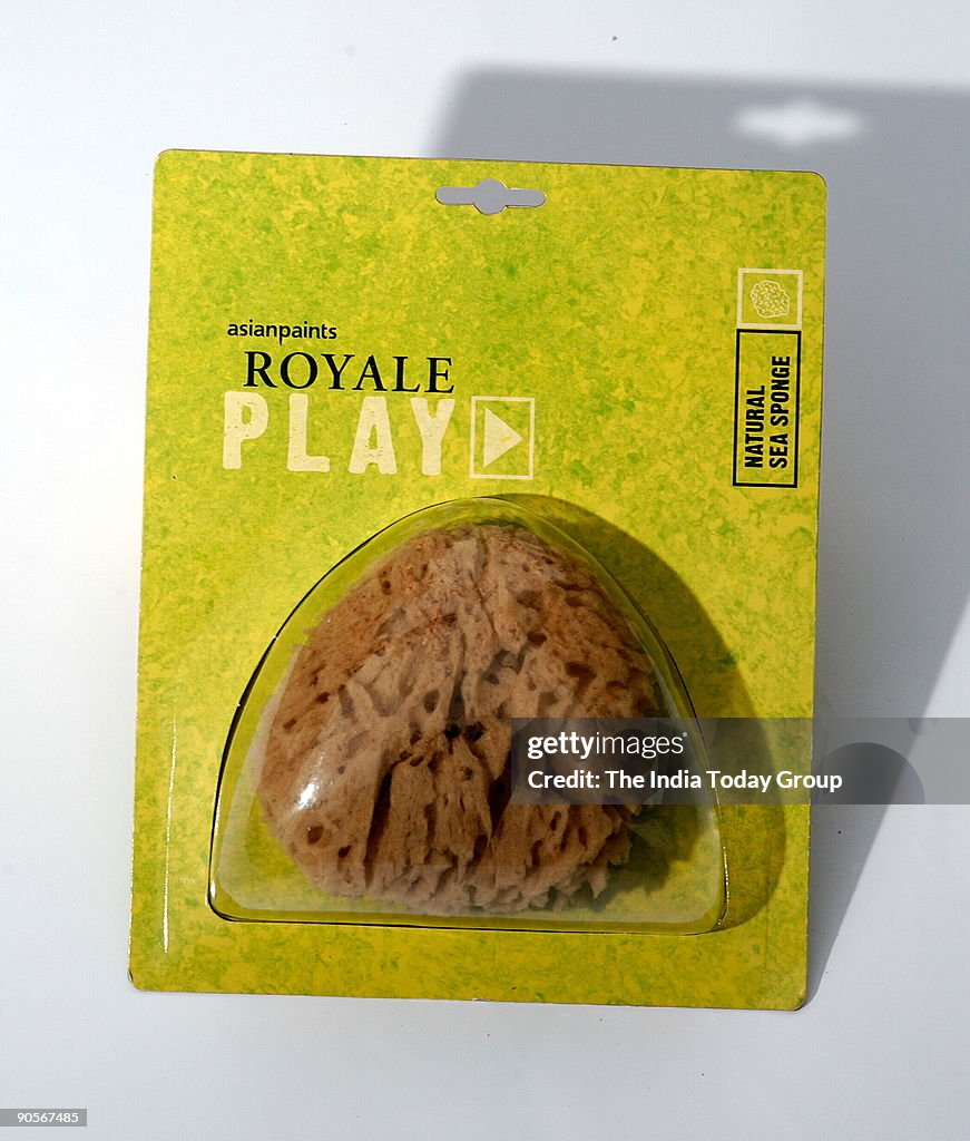 Natural Sea Sponge for special effect paintings of Asian Paints in Mumbai, Maharashtra, India