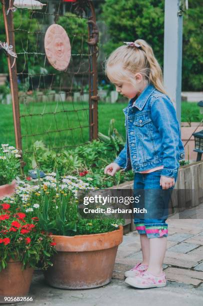 young girl looking standing, down at flower pots with bloom - 4 blond girls stock pictures, royalty-free photos & images