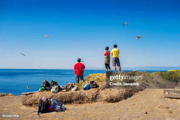 hikers on anacapa island in channel islands national park california - channel islands national park stock pictures, royalty-free photos & images