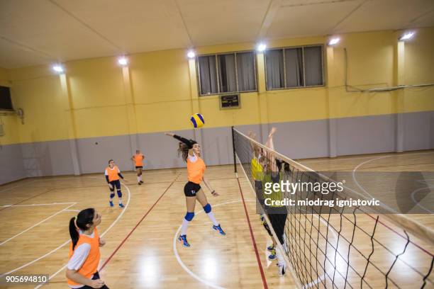 volley in valleyball - spike stock pictures, royalty-free photos & images