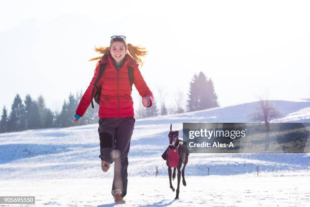happy woman with her spanish greyhound - lady greyhound stock pictures, royalty-free photos & images