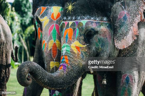 dos cara de elefante colorido pintado y decorado. jaipur, rajasthan, india - elefante asiático fotografías e imágenes de stock