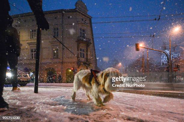 View of Krakow's streets during a snow storm. On Tuesday, January 16 in Krakow, Poland.