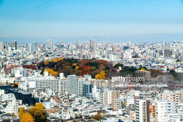 tokyo skyline - university of tokyo stock pictures, royalty-free photos & images