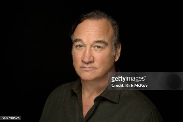 Actor Jim Belushi is photographed for Los Angeles Times on November 12, 2017 in Los Angeles, California. PUBLISHED IMAGE. CREDIT MUST READ: Kirk...