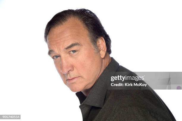 Actor Jim Belushi is photographed for Los Angeles Times on November 12, 2017 in Los Angeles, California. PUBLISHED IMAGE. CREDIT MUST READ: Kirk...