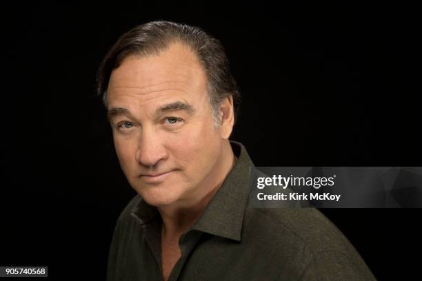 Actor Jim Belushi is photographed for Los Angeles Times on November 12, 2017 in Los Angeles, California. PUBLISHED IMAGE. CREDIT MUST READ: Kirk...