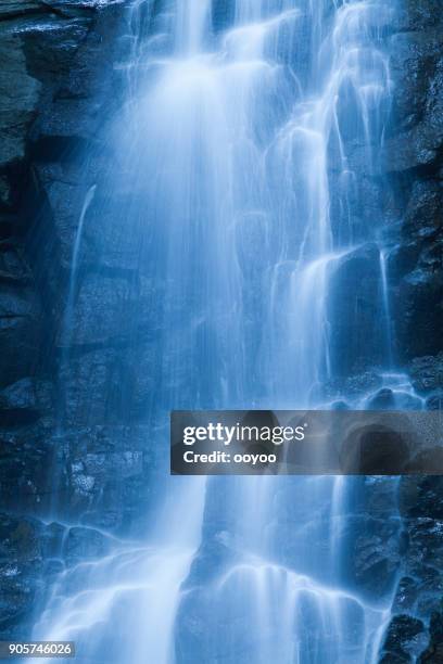 waterfalls in the forest - waterfall stock pictures, royalty-free photos & images