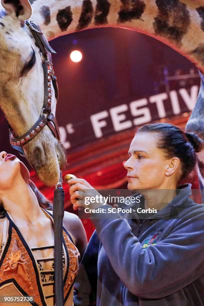 Princess Stephanie of Monaco attends the 42nd International Circus Festival In Monte-Carlo : Photocall on January 16, 2018 in Monaco, Monaco.