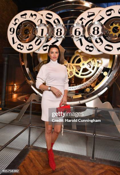 Adriana Lima visits the IWC booth during the Maison's launch of its Jubilee Collection at the Salon International de la Haute Horlogerie on January...