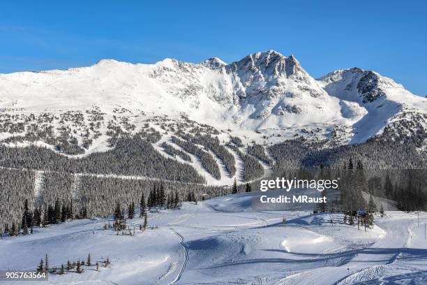 whistler blackcomb ski area - whistler stock pictures, royalty-free photos & images