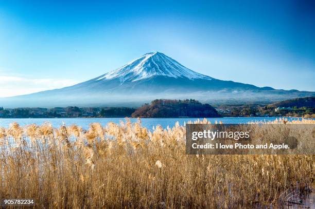 december morning fuji - mt fuji stock pictures, royalty-free photos & images