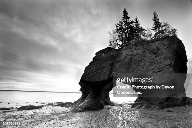 hopewell rocks at low tide in black and white - hopewell stock pictures, royalty-free photos & images