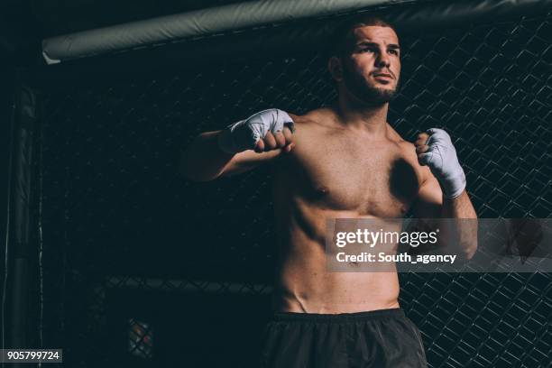 fighter - jiu-jitsu stock pictures, royalty-free photos & images