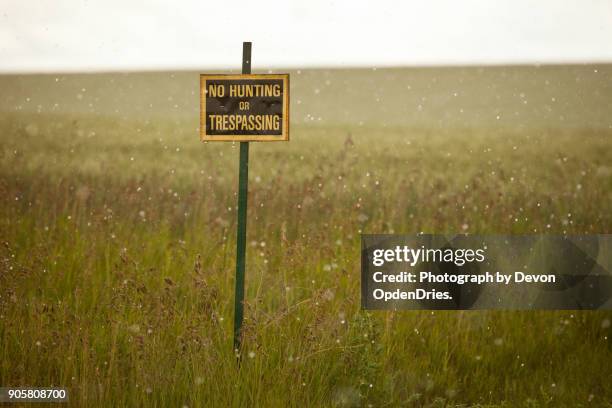 no trespassing sign in an empty field in the rain - no tresspassing sign stock pictures, royalty-free photos & images