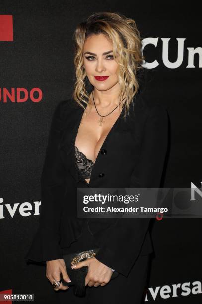 Aracely Arambula arrives at the Telemundo and NBC Universal Latin America NATPE Red Carpet Event at LIV at the Fontainebleau on January 16, 2018 in...