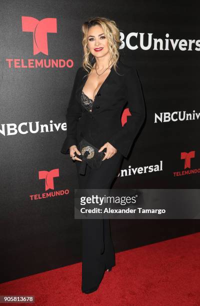 Aracely Arambula arrives at the Telemundo and NBC Universal Latin America NATPE Red Carpet Event at LIV at the Fontainebleau on January 16, 2018 in...