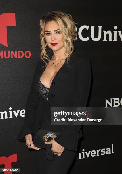 Aracely Arambula arrives at the Telemundo and NBC Universal Latin America NATPE Red Carpet Event at LIV at the Fontainebleau on January 16, 2018 in...