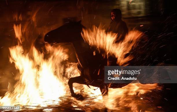 Man rides his horse through fire to purify and protect his horse during the Las Luminarias festival at the San Bartolome de Pinares village in...