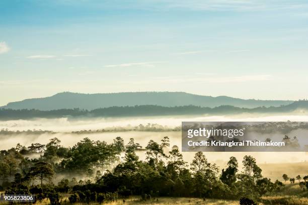 sunrise at thung salaeng luang national park, thailand. - phitsanulok province stock pictures, royalty-free photos & images