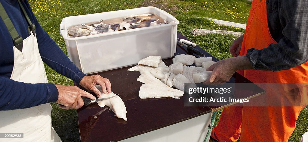 Fisherman cutting fresh cod fish.