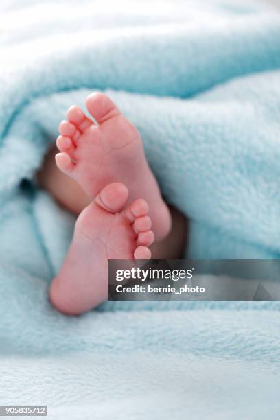 foto des neugeborenen babys füße - baby feet stock-fotos und bilder