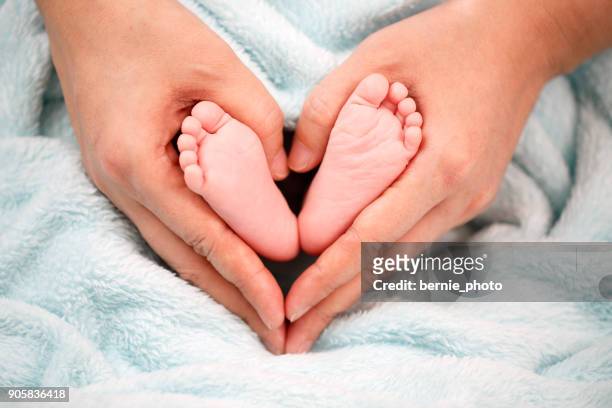 photo of newborn baby feet - hairy human skin stock pictures, royalty-free photos & images