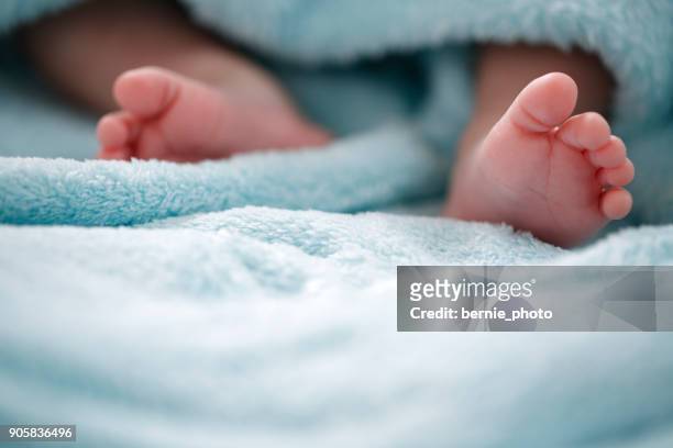 photo of newborn baby feet - baby feet stock pictures, royalty-free photos & images