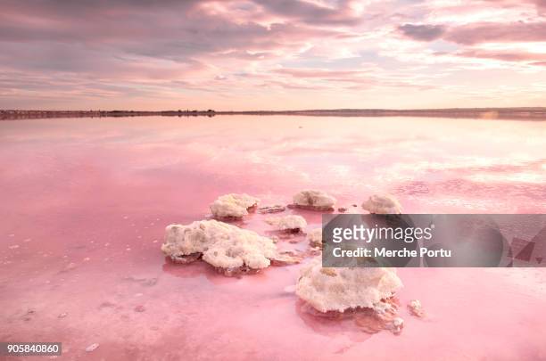 pink saltwater lagoon of torrevieja - salinas grandes stockfoto's en -beelden