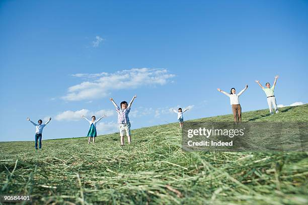 family raising arms on grass - day 6 foto e immagini stock