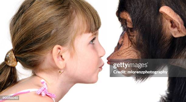 girl with chimpanzee, portrait - primate stock pictures, royalty-free photos & images