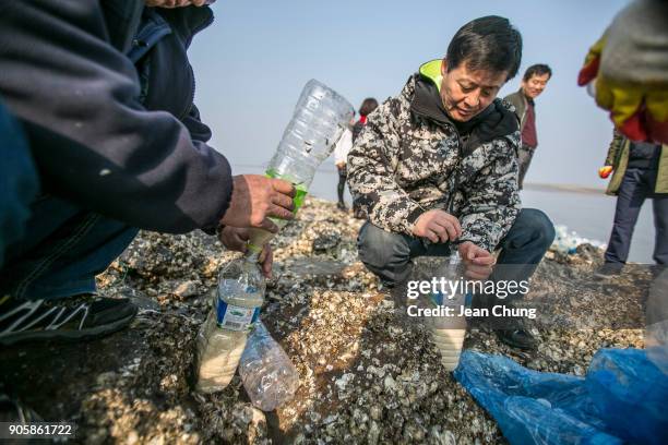 Activists pour rice into the PET bottles on an island near the DMZ on January 17, 2018 in Incheon, South Korea. The human rights group organised by...