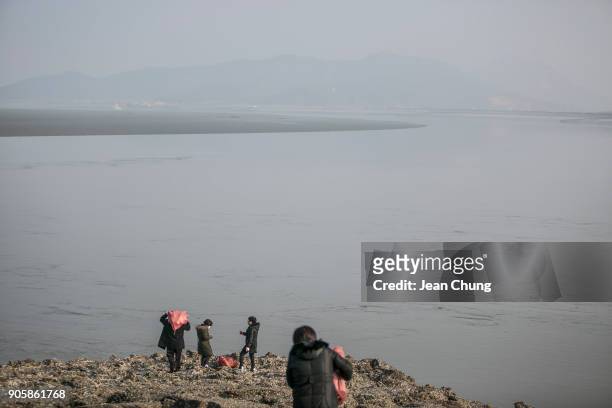 Activists carry sacks containing PET bottles on an island near the DMZ on January 17, 2018 in Incheon, South Korea. The human rights group organised...