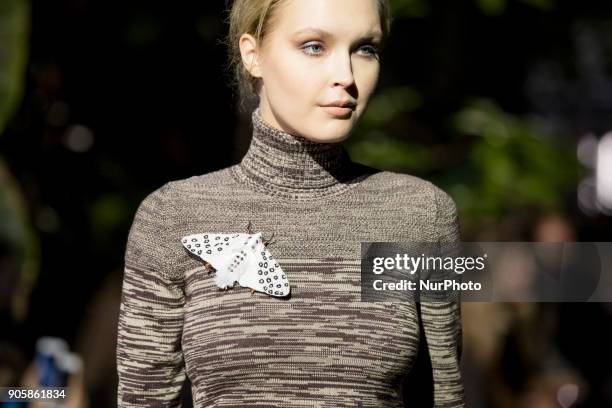 Model runs the runway at the Lena Hoschek Fashion Show at the Botanic Garden during the Berlin Fashion Week in Berlin, Germany on January 16, 2017.