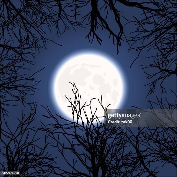 Blue Moon Vector Blue Moon Vector Photos and Premium High Res Pictures - Getty Images