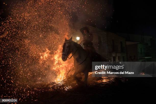Woman rides a horse through a bonfire during the traditional ritual in honor of Saint Anthony the Abbot, patron saint of domestic animals. This...