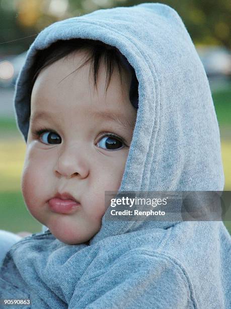 toddler - renphoto stock pictures, royalty-free photos & images